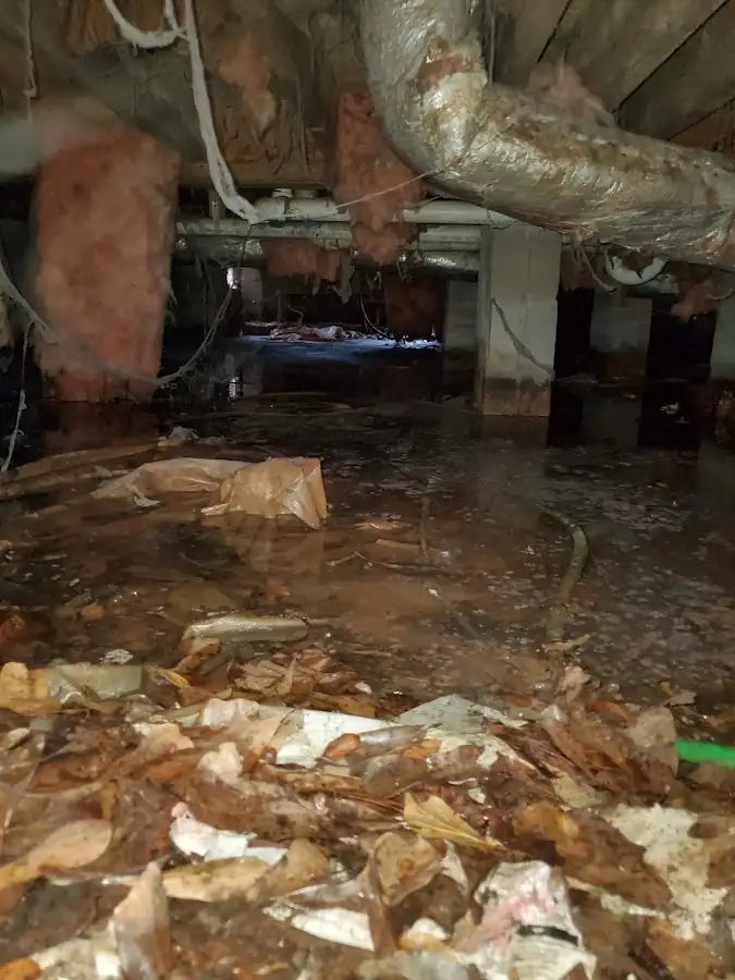 Crawl space flood assessment for Leak Detection & Repair in Cheektowaga
